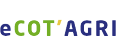 Your Company