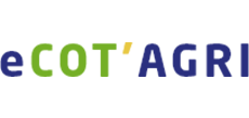 Your Company